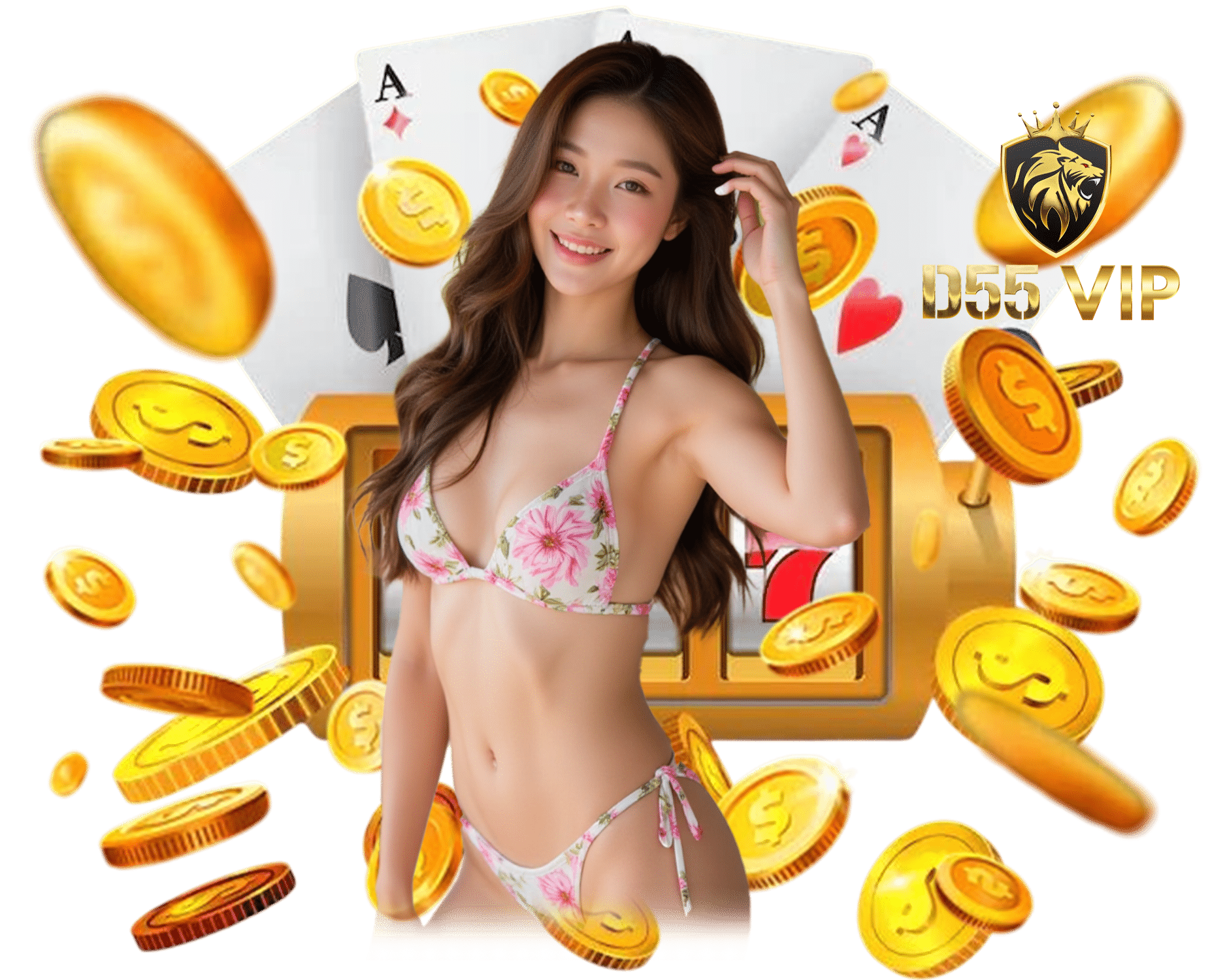 d55vip.co